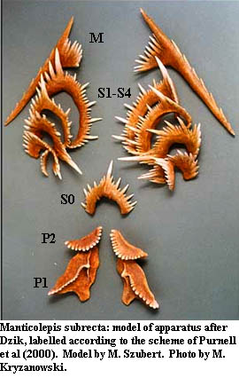 Manticolepis apparatus