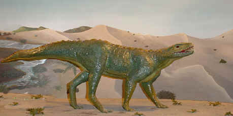 Notosuchus