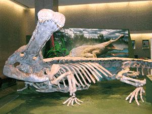 Sarcosuchus