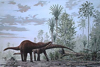 Diplodocus