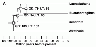 Molecular divergence estimates