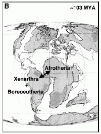 Paleogeography and migration