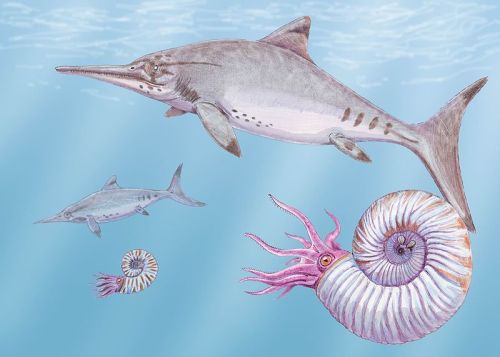 Ophthalmosaurus yasikovi