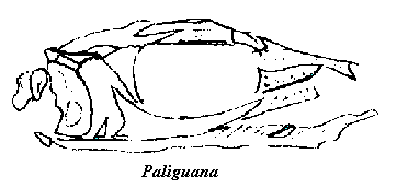 Paliguana