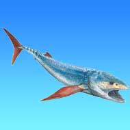 Leedsichthys