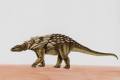 Thyreophora - (e.g. Edmontonia)