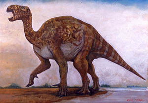 Iguanodon