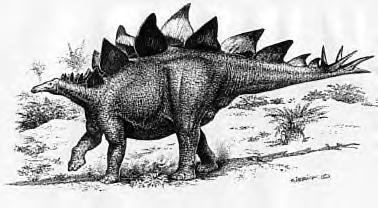 Stegosaurus