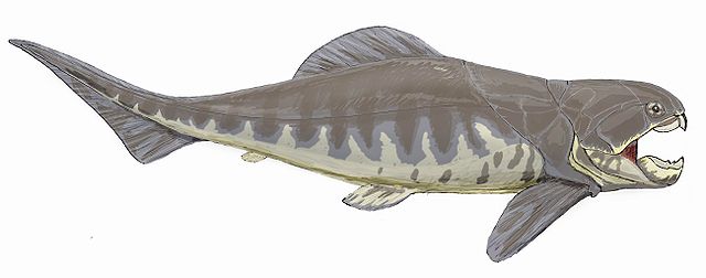 Dunkleosteus