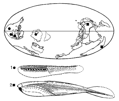 Ordovician Veterbrate Provinces