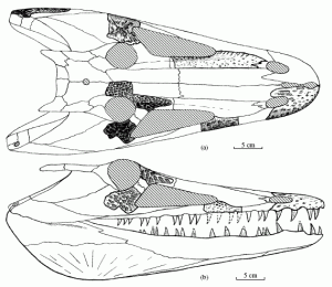 Uralerpeton tverdochlebovae