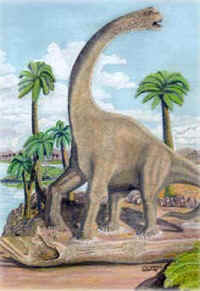 Andesaurus