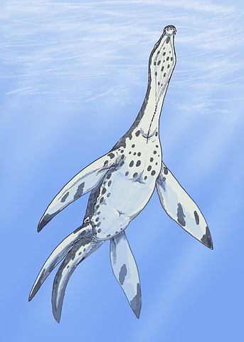 Meyerasaurus (Thaumatosaurus)