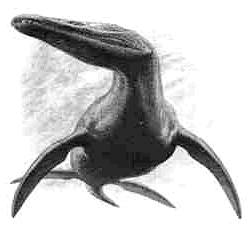 Rhomaleosaurus