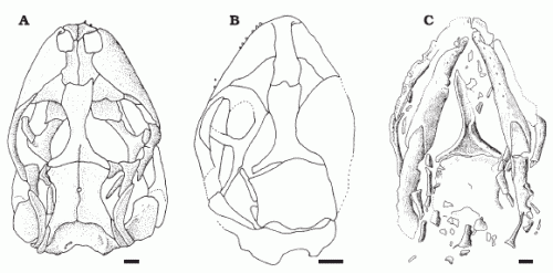 Eichstaettisaurus