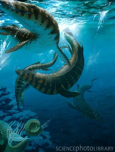 Mosasaurus missouriensis