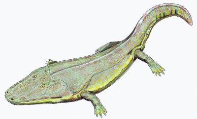 Cyclotosaurus