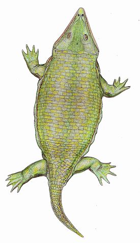 Laidleria gracilis - life reconstruction by Dmitry Bogdanov