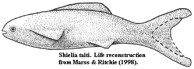 Shielia taiti life reconstruction from Marss & Ritchie (1998)