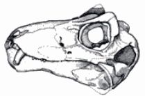 Lemurosaurus