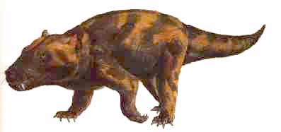 Cynognathus