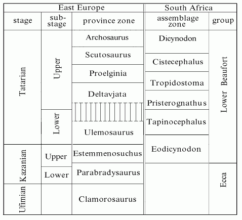 biostratigraphic zones