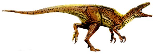 Australovenator wintonensis - life reconstruction