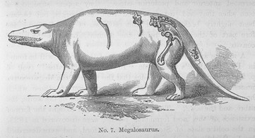 Megalosaurus