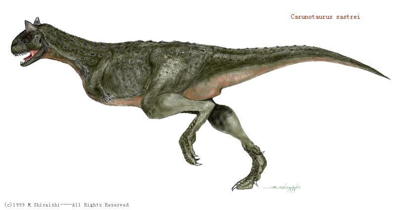 Carnotaurus