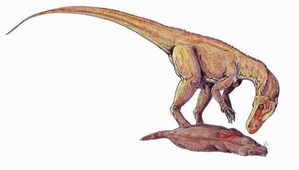 Herrerasaurus feeding on a small cynodont - artwork by Dmitry Bogdanov.