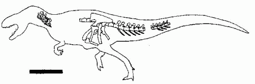 Lourinhanosaurus antunesi