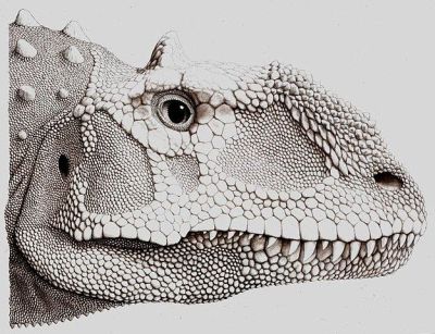 The face of Majungasaurus crenatissimus