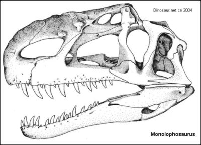 Monolophosaurus jiangi