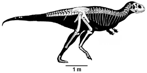 Skorpiovenator bustingorryi