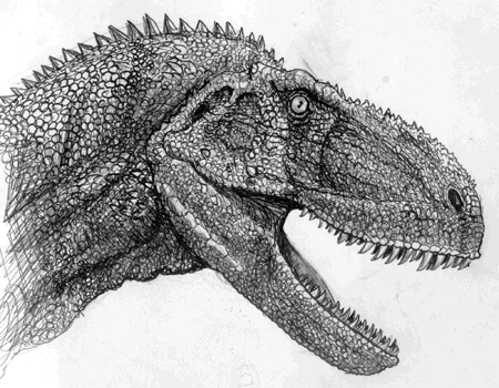 Abelisaurus