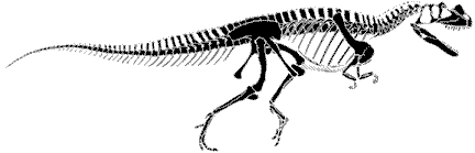 Ceratosaurus nasicornis