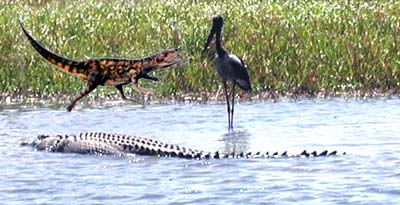 Euparkeria, bird & croc