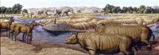 Palaeos Cenozoic: Miocene: The Miocene Epoch