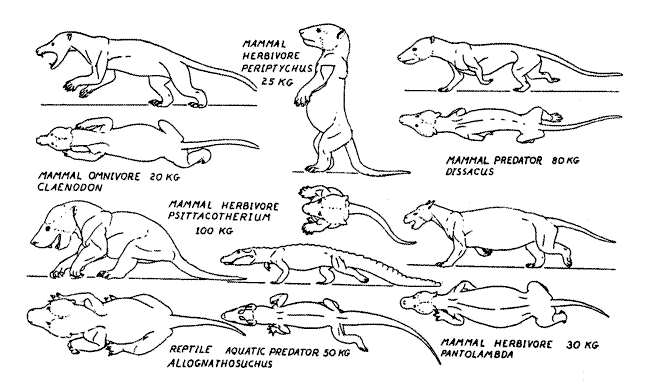 Paleocene bestiary