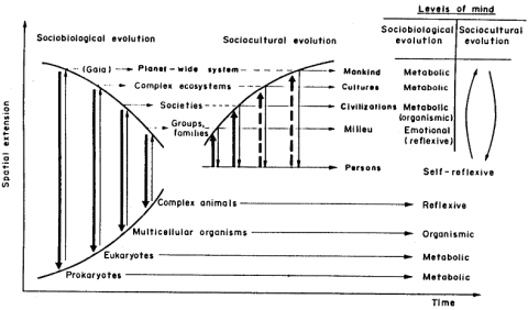 Socio-cultural evolution