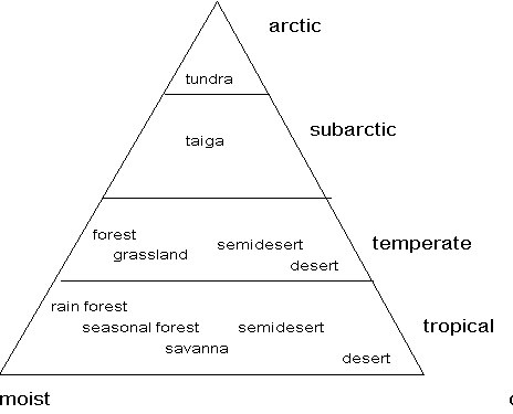 Biomes Diagram