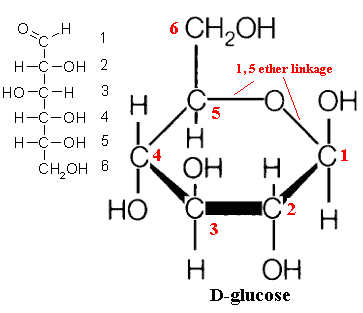 Glucose Linear Form