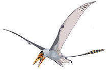 Sordes pilosus, a Jurassic pterosaur