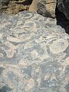 Stromatolites, Zebra River Canyon, Namibia - Proterozoic age