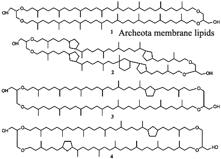 Archeote membrane lipids