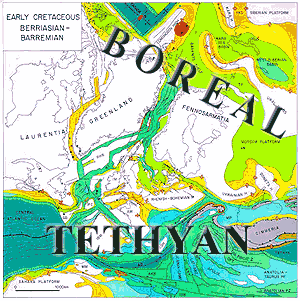 Boreal & Tethyan realms