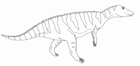 Claosaurus agilis