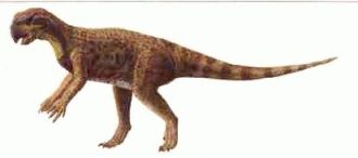 Psittacosaurus - an abundant small central Asian dinosaur - illustration from the Illustrated Encyclopedia of Dinosaurs and Prehistoric Animals, ed.. Barry Cox, © 1988 Marshall Editions