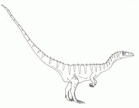 Coelophysis