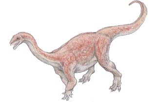 Melanorosaurus